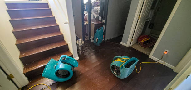 Best Mold removal after water damage  in St Helens, OR