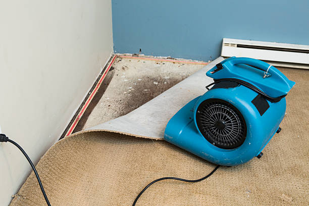 Best Emergency water damage restoration  in St Helens, OR